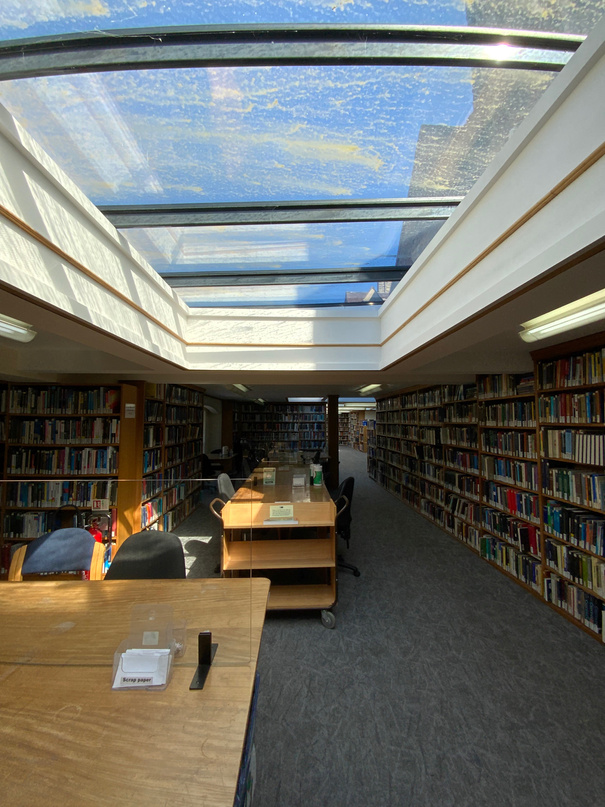 Bookshelf and sunroof  in library